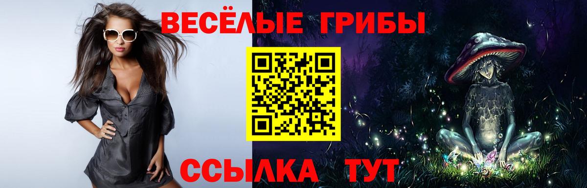 Унеча  что такое наркотик  Вход с VPN  Галлюциногенные грибы MAGIC MUSHROOMS 